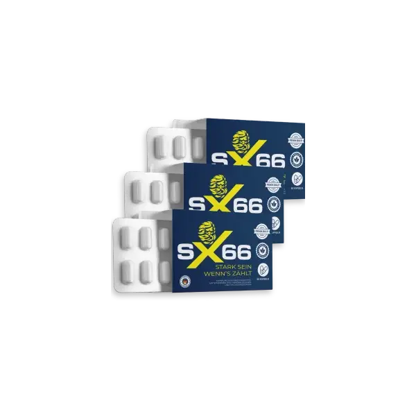 SX66 gélules, boîte de 30