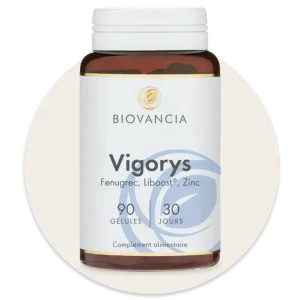 Vigorys gélules, boîte de 90